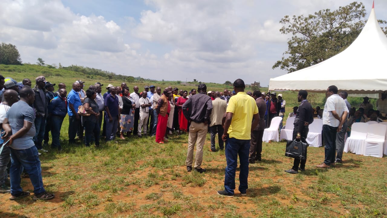Coffee cherries and processing